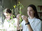 Students in the biotechnology lab at ORT Brazil, 2005